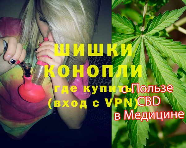 МДПВ Бронницы